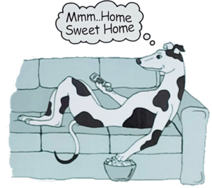 Greyhound on a sofa art
